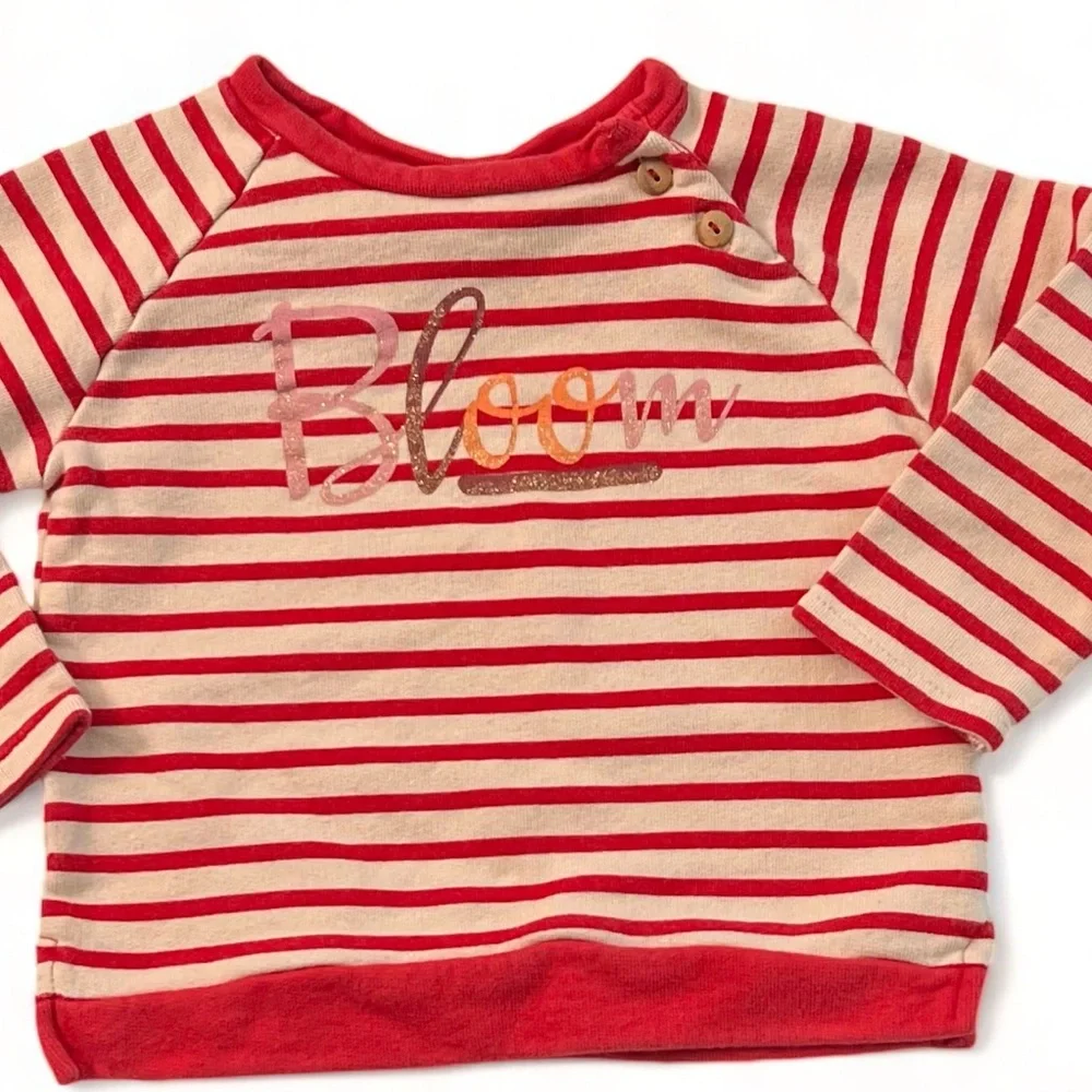 Zara Baby Girl Striped “Bloom “ Sweatshirt